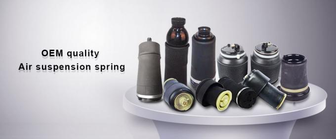 OEM Auto Parts Air Suspension For Mercedes Benz W166 With ADS Front ...