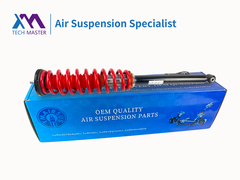 Tech Master Mercedes Benz W220 Air Spring to Coil Spring Conversion Kit