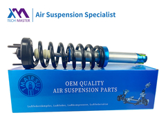 Tech Master Ford F150 Front Air Suspension Shock Absorber