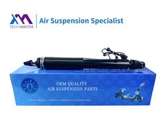 TMAIRSUS LINCOIN MKS MKT Rear With Electric Shock Absorber ASH-24428