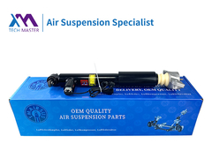 TMAIRSUS Lincoln MKZ Rear Shock Absorber ASSY 1015620-00-A