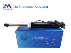 TMAIRSUS Lincoln MKT Rear Left Shock Absorber with ADS DE9Z18125J, DE9Z18125B, DE9Z18125G