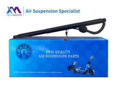 TMAIRSUS Escalade Power Liftgate Actuators 2015-2020 84306929