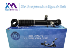 Tech Master TMAIRSUS Rear Shock Absorber for Lexus GX460 48885-60030