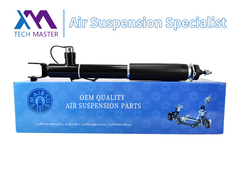 Tech Master TMAIRSUS Shock Absorber for Lincoln MKT ASH24635