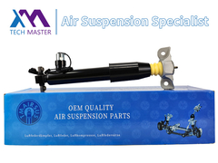 Tech Master TMAIRSUS Rear Left Shock Absorber Strut For Lincoln MKX F2GZ18125Z