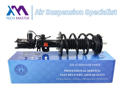 Tech Master TMAIRSUS Lincoln MKT Front Left Shock Absorber Complete AST18205