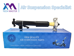 Tech Master TMAIRSUS Rear Right Shock Absorber for Lincoln MKT DE9Z18125A