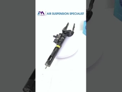 Section View of Front Air Suspension Damper for BENZ W166 1663201313