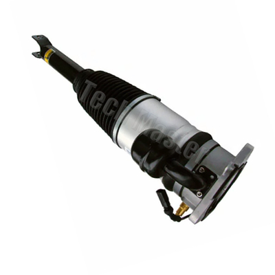 3W5616001A 3W5616002A Air Suspension Shock Bentley Continental GT Flying Spur Rear Left Right