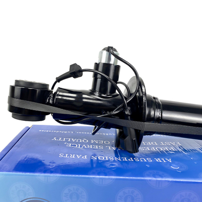 Rear Left Right Position Automobile Shock Absorbers With OEM Standard