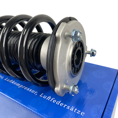 OEM Front Air Suspension Shock Absorber for Tesla 3-Y 2WD