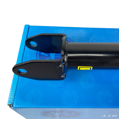 OEM Front Air Suspension Shock Absorber for Tesla 3-Y 2WD
