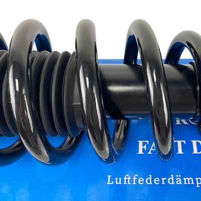 Tesla Model S Coil Spring Shock For Rear Right And Left 1-3 Days Shipment OEM 1015620-01-E