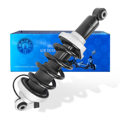 4S0512019 4S0512019C 4S0512019G 4S0512019M For Audi R8 4S Rear Left And Right With ADS