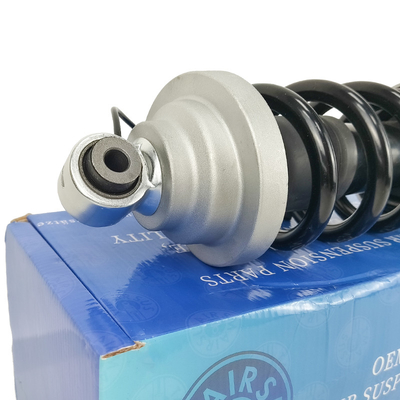 OEM 420412019AG 420412020AG Front Shocks and Struts Kit for Audi R8 Assembled Struts 2010-2016