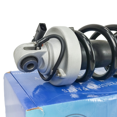Automotive Coil Spring Shock Absorber For Audi R8 Front 420412019AG 420412020AG Shocks And Struts Replacement