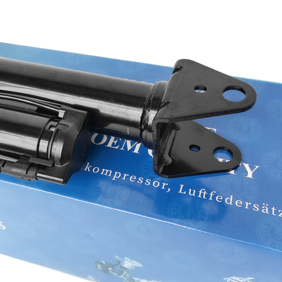 Rear Position Repair or Replacement Airmatic Shock Absorber 2513201931 for Mercedes-Benz W251/R300