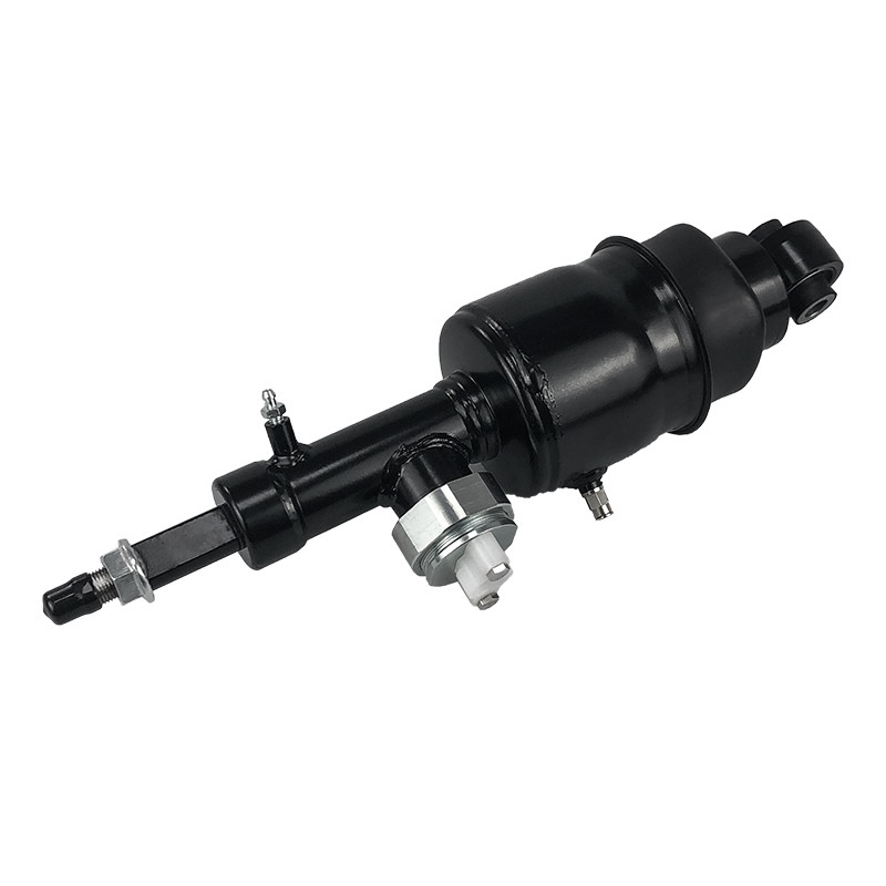Rear Air Suspension Shock for Nissan Patrol Armanda Infiniti QX80 QX56 2010-2021
