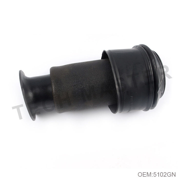 Citroen C4 Picasso için arka Hava Süspansiyon Yayları Arka 5102GN 5102R8 / Hava Yastığı Süspansiyon Parçaları