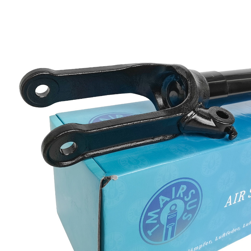 Shock Absorber 2513200730 2513203013 2513201931 2513202231 For Mercedes-Benz W251 Front R-Class 2006-2010