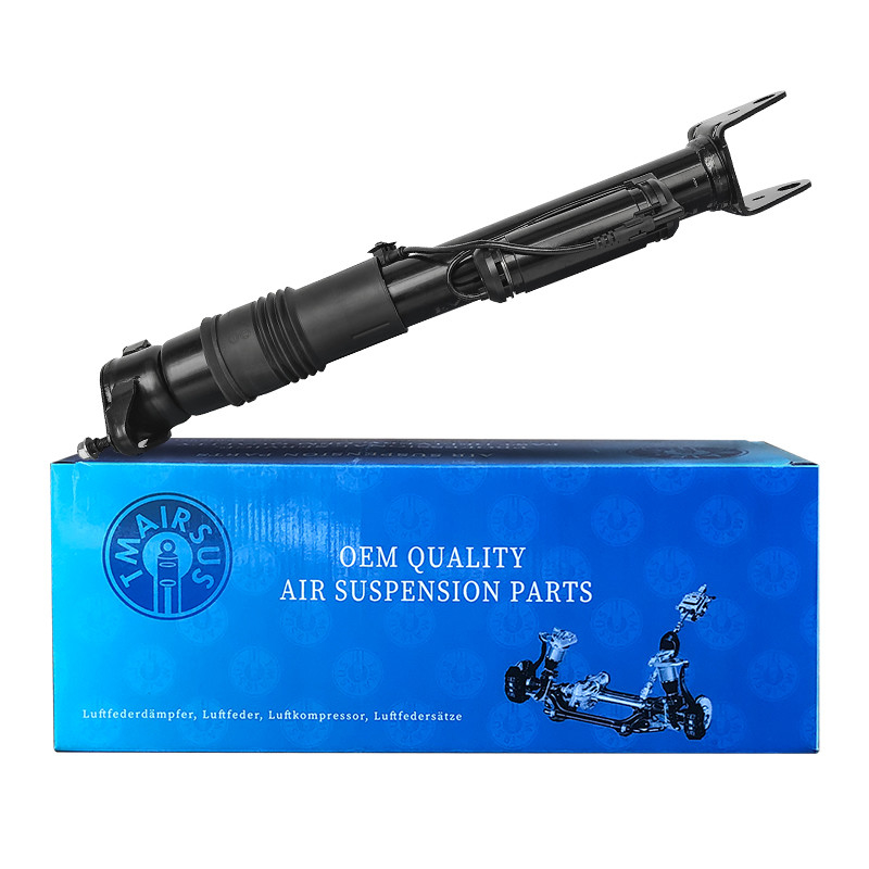 Rear Position Repair or Replacement Airmatic Shock Absorber 2513201931 for Mercedes-Benz W251/R300