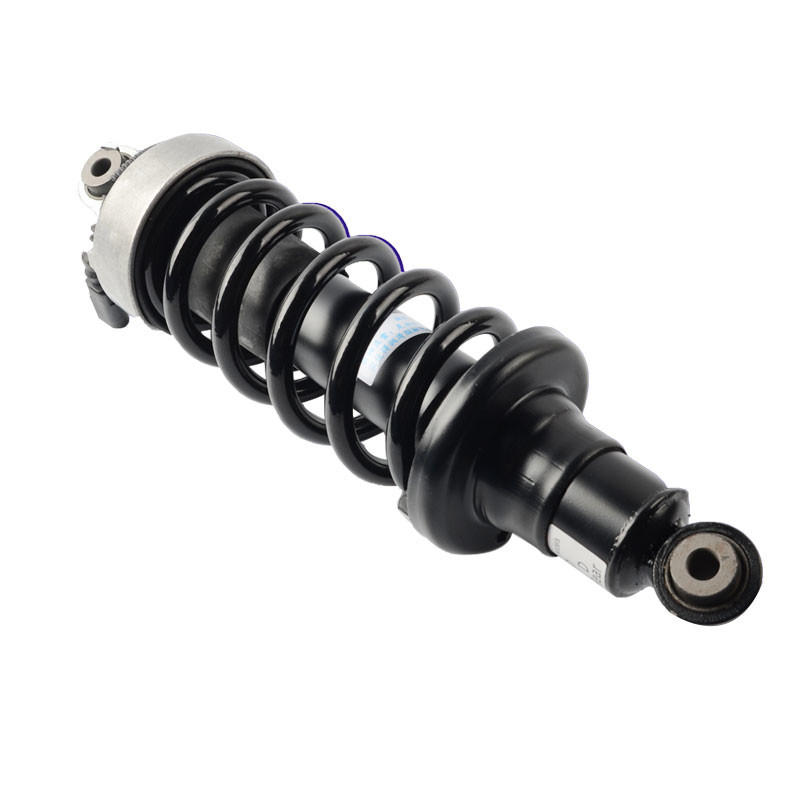 R8 Air Suspension Shock Absorber Rear Left And Right 420512019AL ...